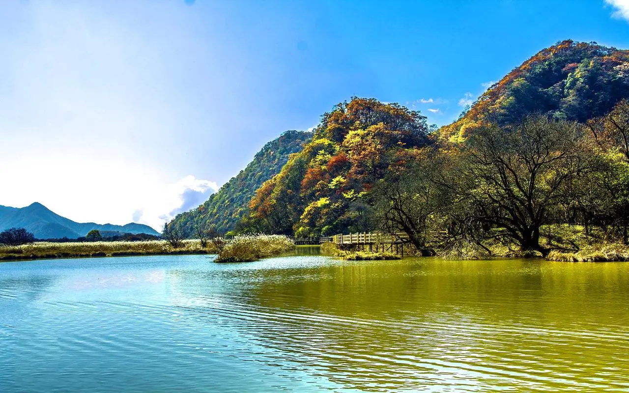 先进环保环保